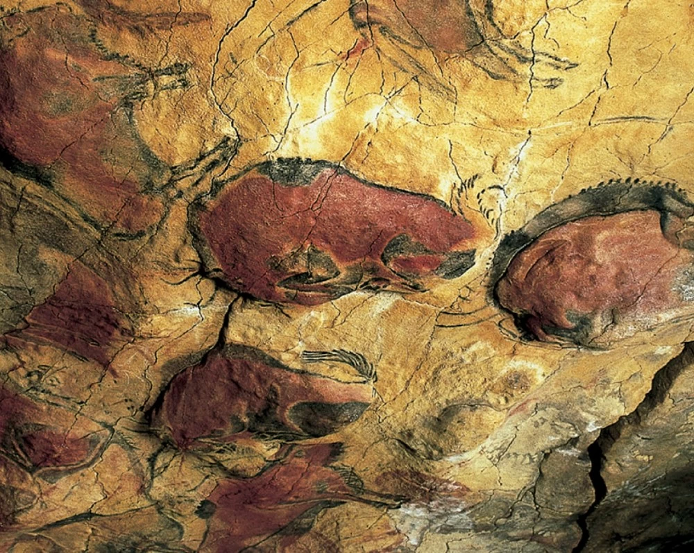 El Museo de Altamira_38